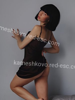 Адель — Сальск